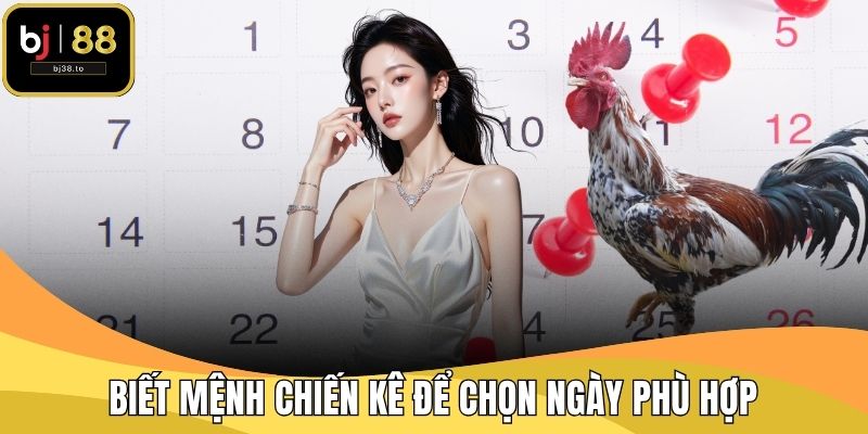 Biết mệnh chiến kê để chọn ngày phù hợp